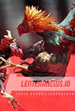 Maraknya Arena Judi Ditengah Kota Probolinggo, Diduga APH Setempat Tutup Mata