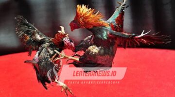 Maraknya Arena Judi Ditengah Kota Probolinggo, Diduga APH Setempat Tutup Mata