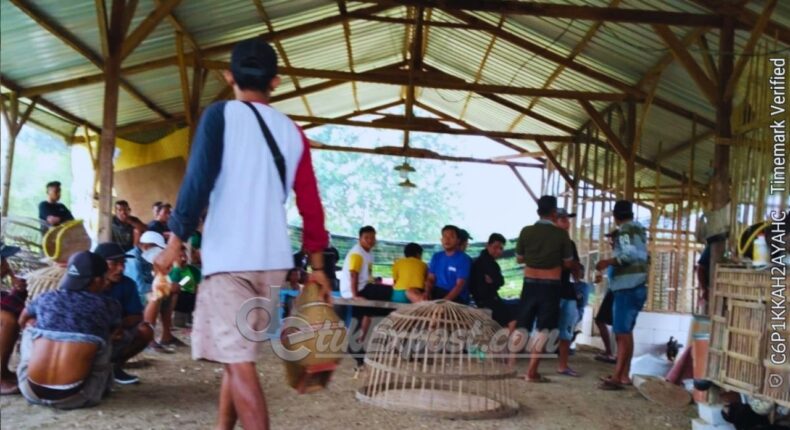 foto slider headline