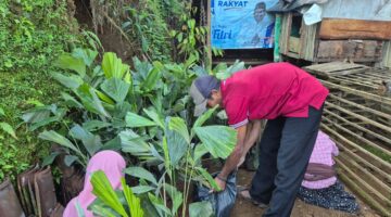 Komitmen dan Prestasi PLN UIP JBTB Sulap Kampung Simacan Jadi Sentra Konservasi Aren Genjah Digital