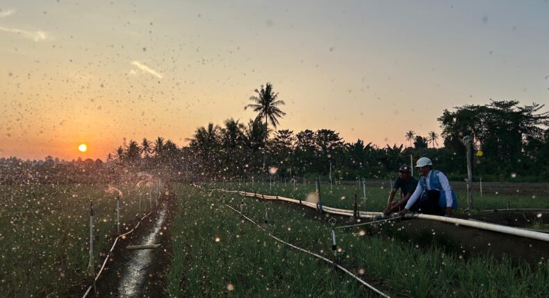 foto slider headline