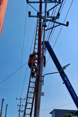 Jelang Hari Pelanggan Nasional, PLN Berhasil Pulihkan Sebagian Besar Kelistrikan Flores Pascabencana
